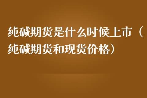 纯碱期货是什么时候上市（纯碱期货和）_https://www.liuyiidc.com_期货理财_第1张