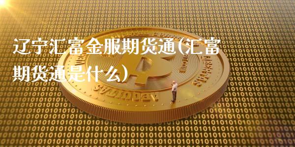 辽宁汇富金服期货通(汇富期货通是什么)_https://www.liuyiidc.com_国际期货_第1张