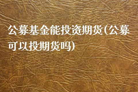 公募基金能投资期货(公募可以投期货吗)_https://www.liuyiidc.com_期货知识_第1张