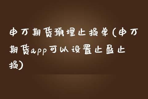 申万期货预埋止损单(申万期货app可以设置止盈止损)_https://www.liuyiidc.com_期货直播_第1张