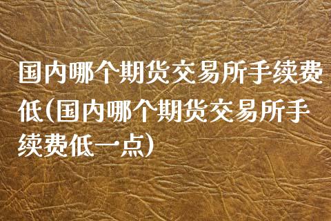 国内哪个期货交易所手续费低(国内哪个期货交易所手续费低一点)_https://www.liuyiidc.com_期货品种_第1张