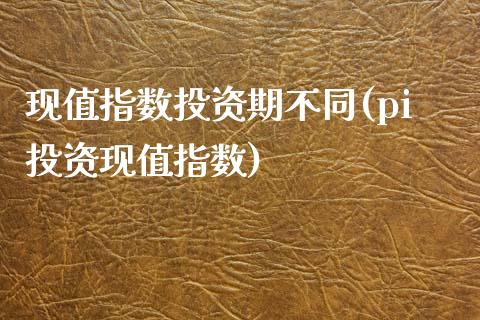 现值指数投资期不同(pi投资现值指数)_https://www.liuyiidc.com_理财百科_第1张