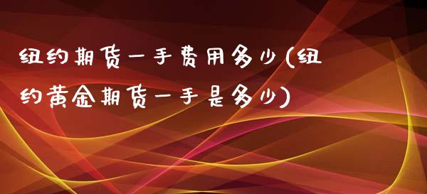 纽约期货一手费用多少(纽约黄金期货一手是多少)_https://www.liuyiidc.com_期货软件_第1张