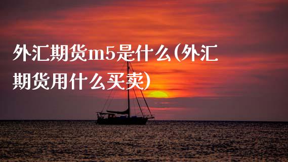 外汇期货m5是什么(外汇期货用什么买卖)_https://www.liuyiidc.com_期货理财_第1张