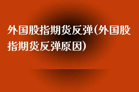 外国股指期货反弹(外国股指期货反弹原因)_https://www.liuyiidc.com_财经要闻_第1张