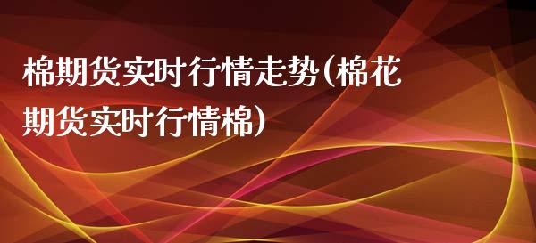 棉期货实时行情走势(棉花期货实时行情棉)_https://www.liuyiidc.com_财经要闻_第1张