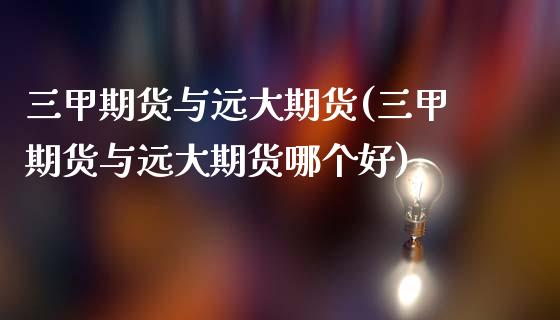 三甲期货与远大期货(三甲期货与远大期货哪个好)_https://www.liuyiidc.com_期货交易所_第1张