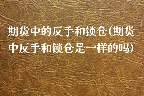 期货中的反手和锁仓(期货中反手和锁仓是一样的吗)_https://www.liuyiidc.com_基金理财_第1张