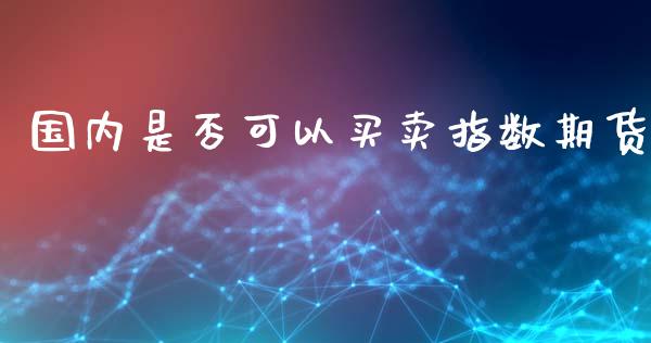 国内是否可以买卖指数期货_https://www.liuyiidc.com_原油直播室_第1张