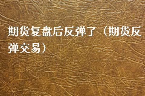 期货复盘后反弹了（期货反弹交易）_https://www.liuyiidc.com_理财百科_第1张