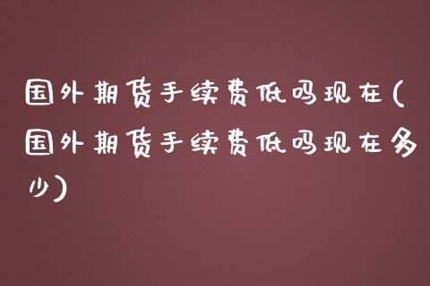 国外期货手续费低吗现在(国外期货手续费低吗现在多少)_https://www.liuyiidc.com_期货品种_第1张