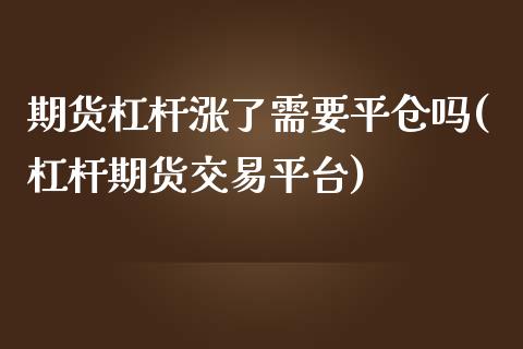 期货杠杆涨了需要平仓吗(杠杆期货交易平台)_https://www.liuyiidc.com_期货交易所_第1张