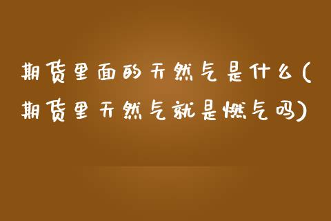 期货里面的天然气是什么(期货里天然气就是燃气吗)_https://www.liuyiidc.com_期货品种_第1张