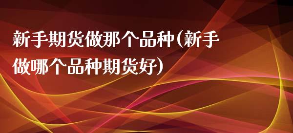 新手期货做那个品种(新手做哪个品种期货好)_https://www.liuyiidc.com_期货品种_第1张