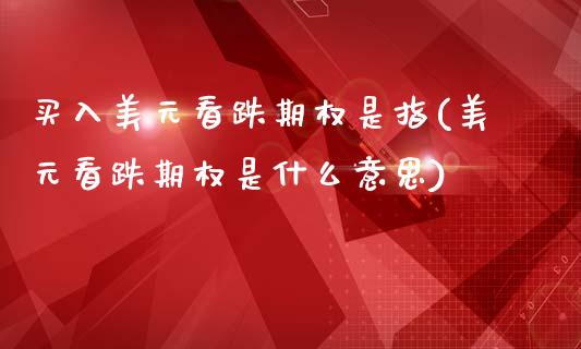 买入美元看跌期权是指(美元看跌期权是什么意思)_https://www.liuyiidc.com_期货知识_第1张