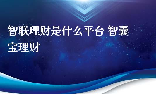 智联理财是什么平台 智囊宝理财_https://www.liuyiidc.com_保险理财_第1张