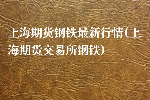 上海期货钢铁最新行情(上海期货交易所钢铁)_https://www.liuyiidc.com_期货直播_第1张