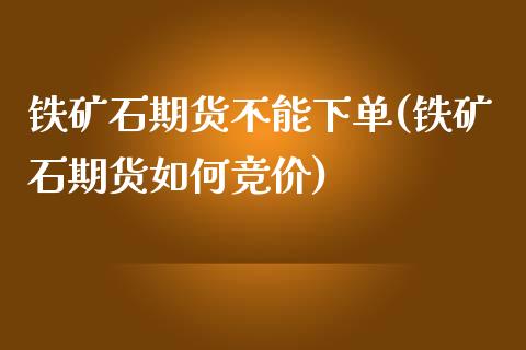 铁矿石期货不能下单(铁矿石期货如何竞价)_https://www.liuyiidc.com_恒生指数_第1张