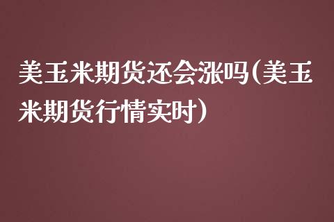 美玉米期货还会涨吗(美玉米期货行情实时)_https://www.liuyiidc.com_期货交易所_第1张