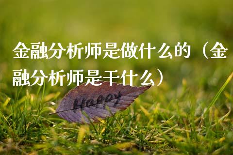 金融师是做什么的（金融师是干什么）_https://www.liuyiidc.com_理财百科_第1张