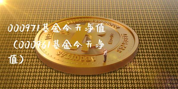 000971基金今天净值（000961基金今天净值）_https://www.liuyiidc.com_基金理财_第1张