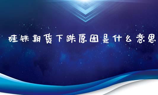 硅铁期货下跌原因是什么意思_https://www.liuyiidc.com_期货软件_第1张