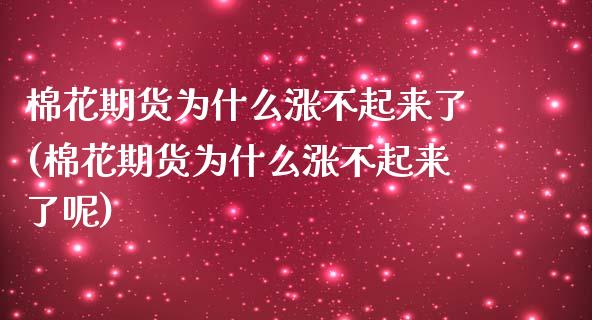 棉花期货为什么涨不起来了(棉花期货为什么涨不起来了呢)_https://www.liuyiidc.com_期货品种_第1张