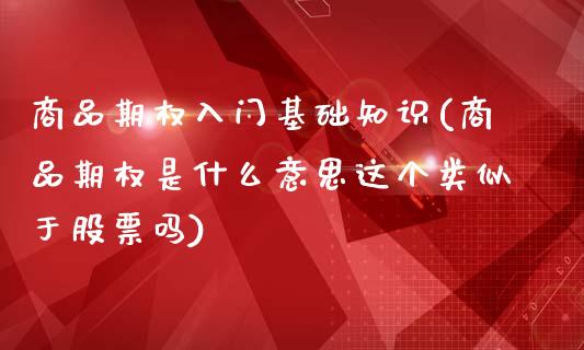 商品期权入门基础知识(商品期权是什么意思这个类似于股票吗)_https://www.liuyiidc.com_期货直播_第1张