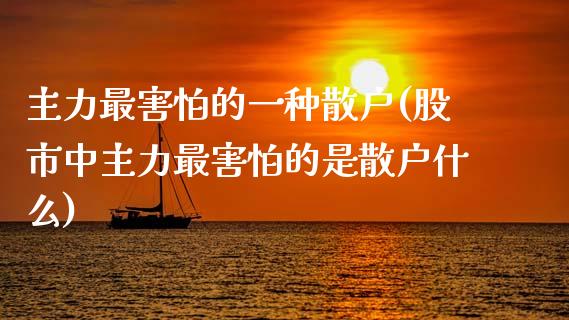 主力最害怕的一种散户(股市中主力最害怕的是散户什么)_https://www.liuyiidc.com_期货品种_第1张