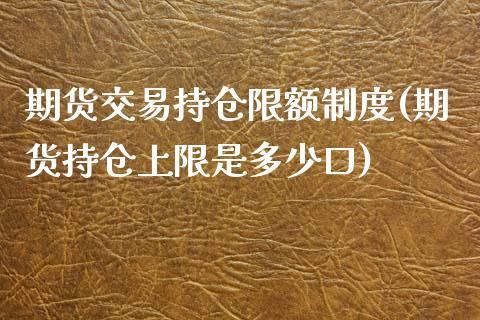 期货交易持仓限额制度(期货持仓上限是多少口)_https://www.liuyiidc.com_理财品种_第1张