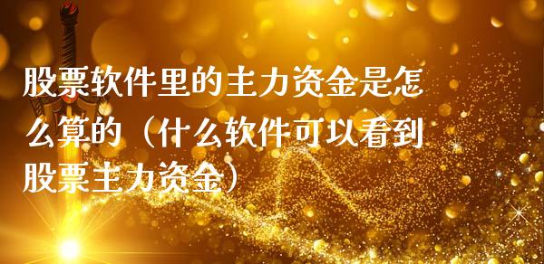 股票里的主力资金是怎么算的（什么可以看到股票主力资金）_https://www.liuyiidc.com_恒生指数_第1张