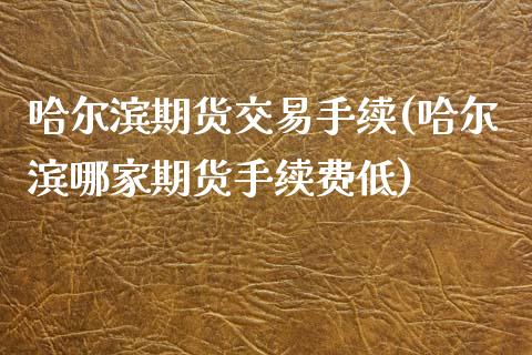 哈尔滨期货交易手续(哈尔滨哪家期货手续费低)_https://www.liuyiidc.com_理财百科_第1张