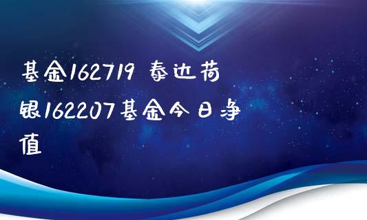 基金162719 泰达荷银162207基金今日净值