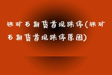 铁矿石期货首现跌停(铁矿石期货首现跌停原因)_https://www.liuyiidc.com_期货品种_第1张