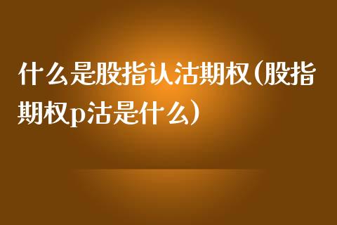 什么是股指认沽期权(股指期权p沽是什么)_https://www.liuyiidc.com_理财品种_第1张