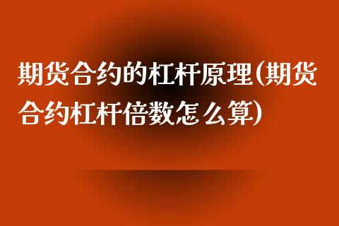 期货合约的杠杆原理(期货合约杠杆倍数怎么算)_https://www.liuyiidc.com_国际期货_第1张