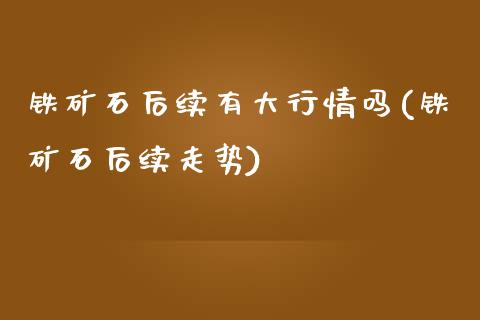 铁矿石后续有大行情吗(铁矿石后续走势)_https://www.liuyiidc.com_国际期货_第1张