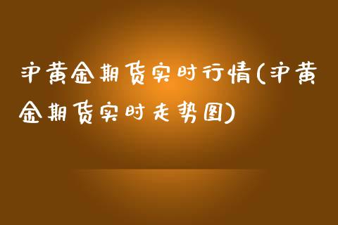 沪黄金期货实时行情(沪黄金期货实时走势图)_https://www.liuyiidc.com_理财品种_第1张