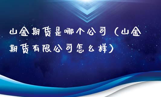 山金期货是哪个（山金期货有限怎么样）_https://www.liuyiidc.com_期货开户_第1张