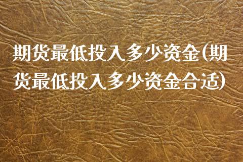 期货最低投入多少资金(期货最低投入多少资金合适)_https://www.liuyiidc.com_基金理财_第1张