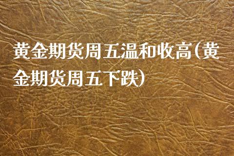 黄金期货周五温和收高(黄金期货周五下跌)_https://www.liuyiidc.com_期货交易所_第1张