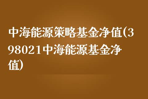 中海能源策略基金净值(398021中海能源基金净值)_https://www.liuyiidc.com_期货理财_第1张