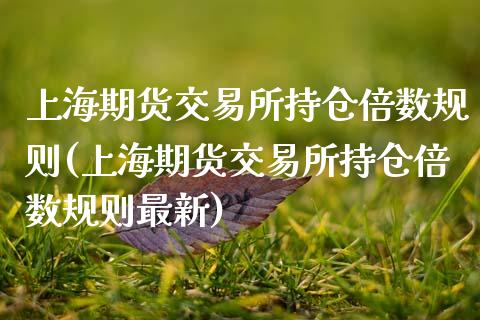 上海期货交易所持仓倍数规则(上海期货交易所持仓倍数规则最新)_https://www.liuyiidc.com_基金理财_第1张