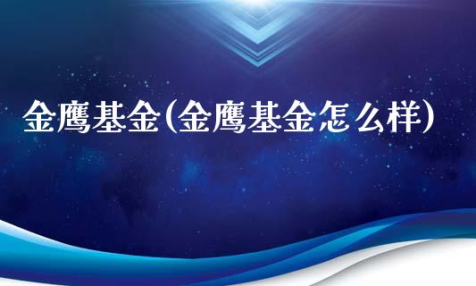 金鹰基金(金鹰基金怎么样)_https://www.liuyiidc.com_股票理财_第1张