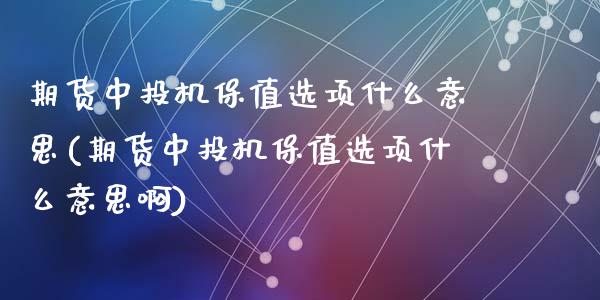 期货中投机保值选项什么意思(期货中投机保值选项什么意思啊)_https://www.liuyiidc.com_期货软件_第1张