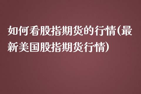 如何看股指期货的行情(最新美国股指期货行情)_https://www.liuyiidc.com_期货品种_第1张