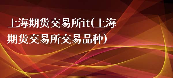 上海期货交易所it(上海期货交易所交易品种)_https://www.liuyiidc.com_理财百科_第1张