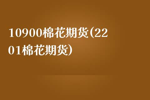 10900棉花期货(2201棉花期货)_https://www.liuyiidc.com_期货知识_第1张