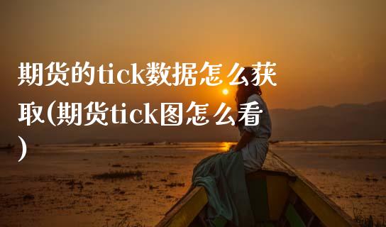 期货的tick数据怎么获取(期货tick图怎么看)_https://www.liuyiidc.com_期货品种_第1张