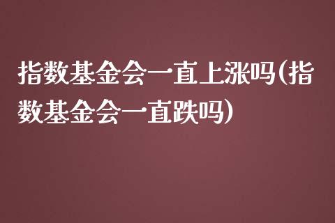 指数基金会一直上涨吗(指数基金会一直跌吗)_https://www.liuyiidc.com_期货理财_第1张